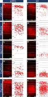 Figure 3—figure supplement 2.