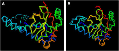 FIGURE 3