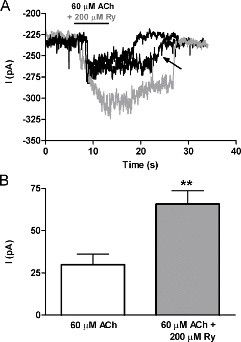 FIG. 3.