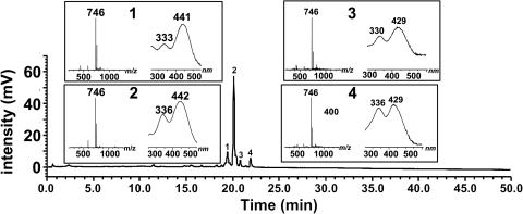 Figure 3.