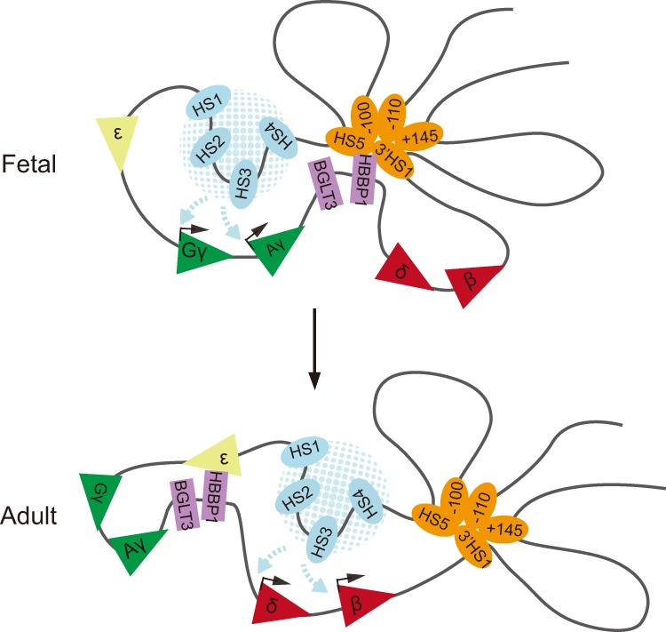 Figure 7.