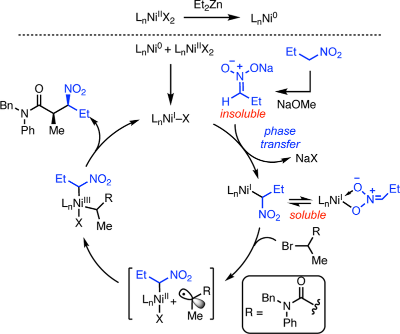 Scheme 6