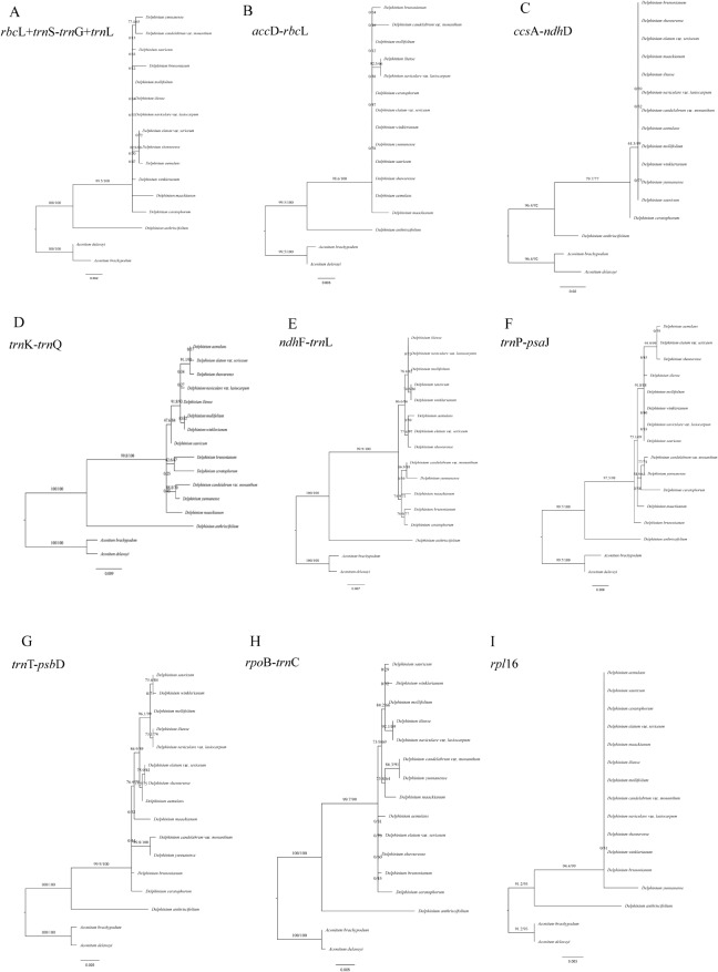 Fig. 11