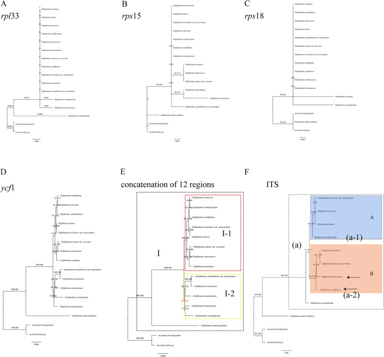 Fig. 12