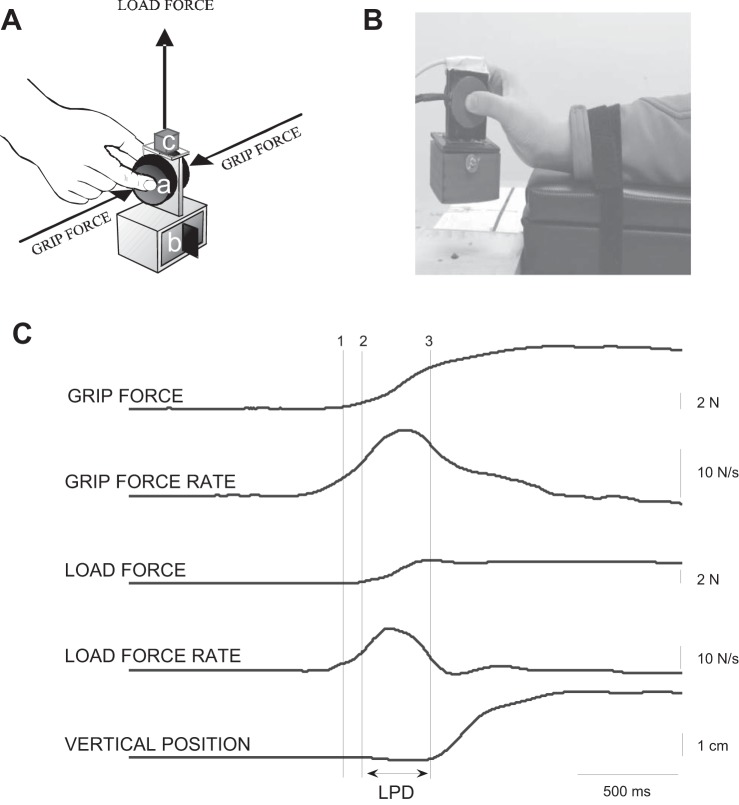 Fig. 1.