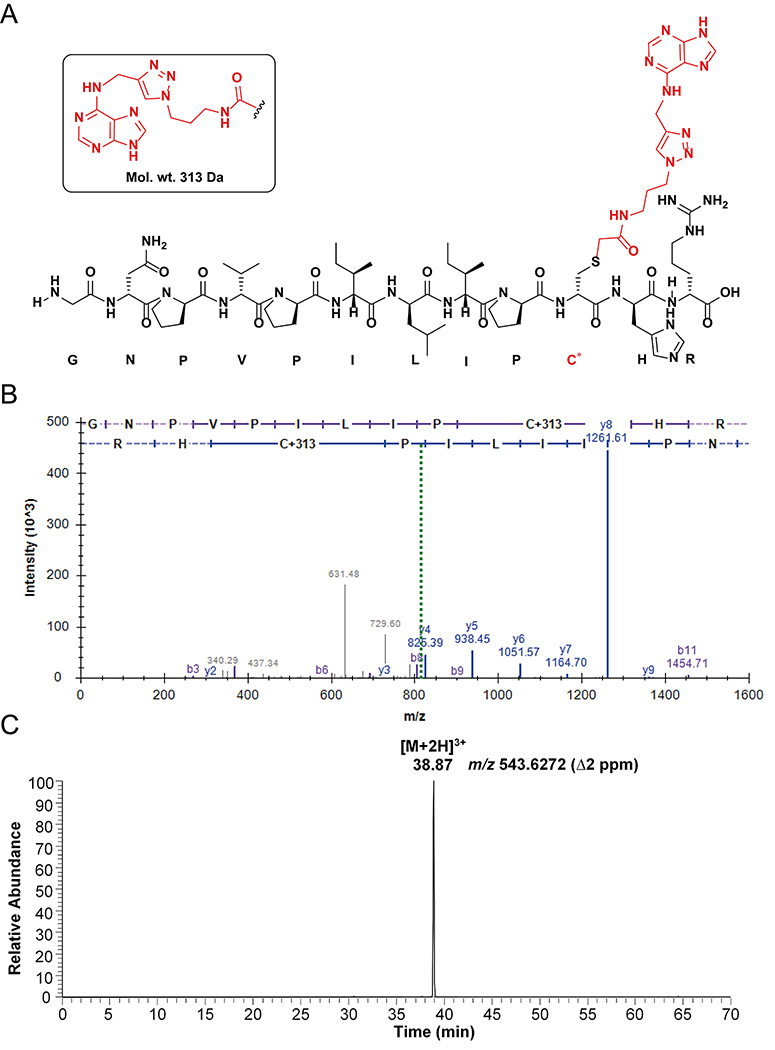 Figure 10.