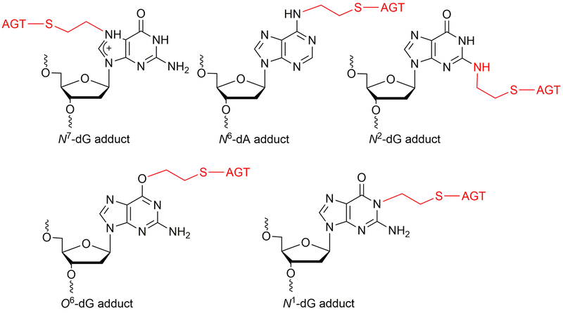 Figure 11.