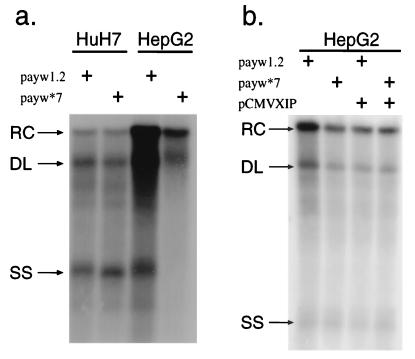 FIG. 5