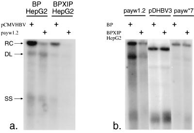 FIG. 6