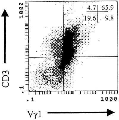 FIG. 1