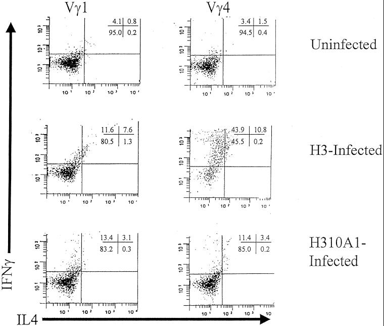 FIG. 3