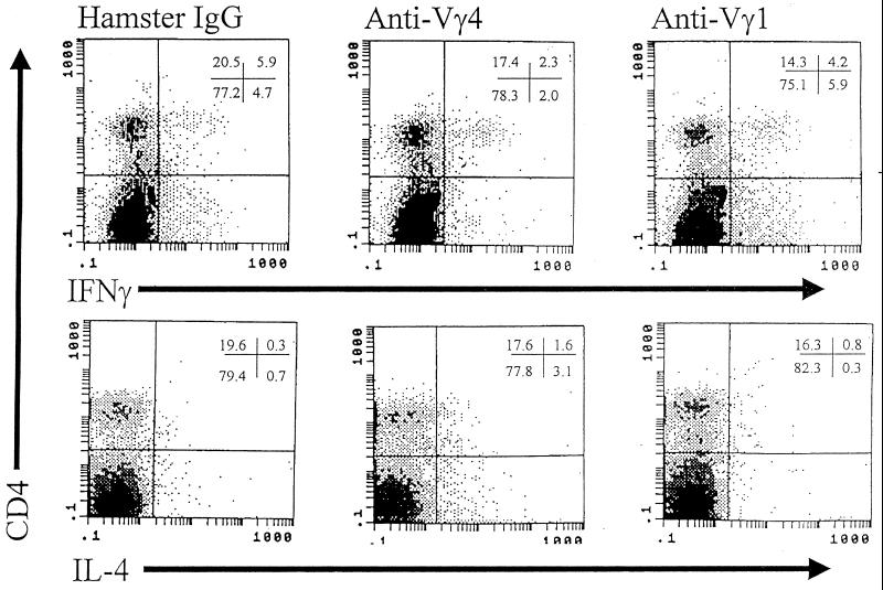 FIG. 6