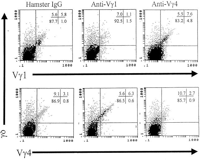 FIG. 5