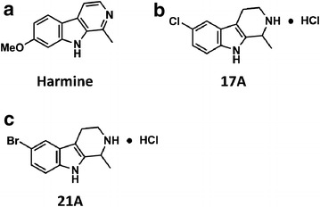 Fig. 1