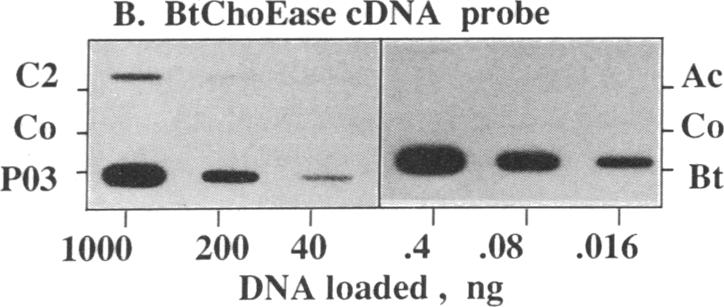 graphic file with name pnas00252-0392-c.jpg