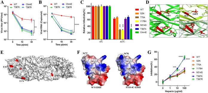 FIG 6