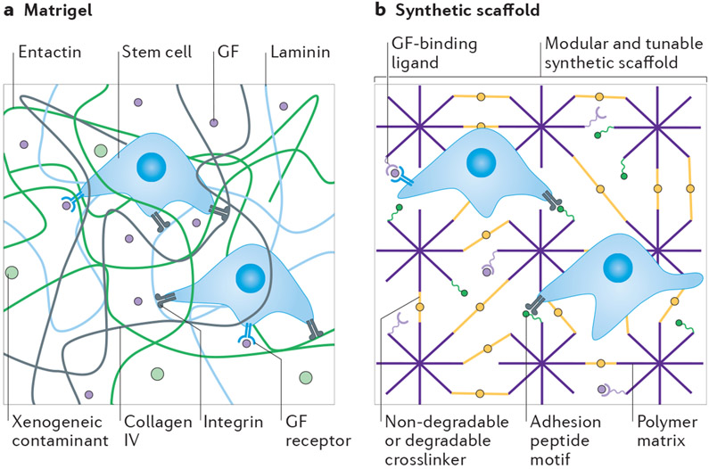 Fig. 1∣