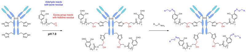 Figure 55