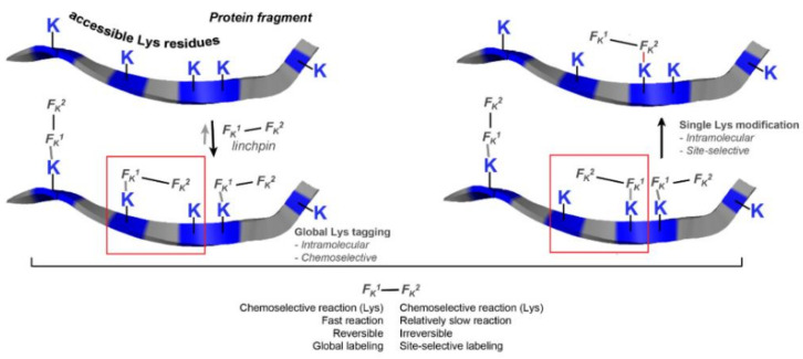 Figure 56