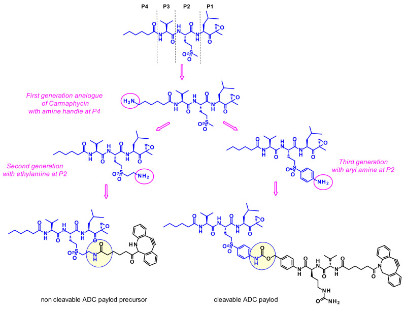 Figure 42