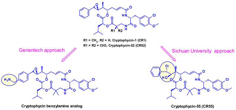 Figure 15