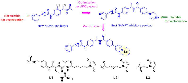 Figure 40