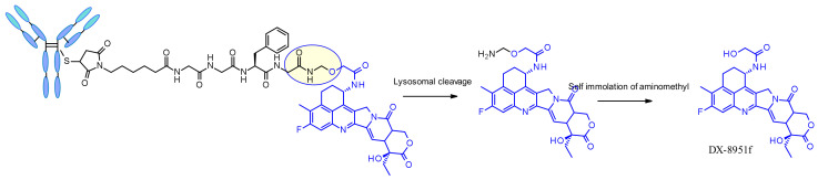 Figure 48