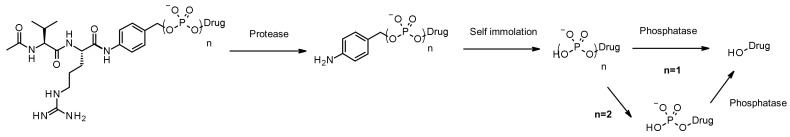 Figure 49