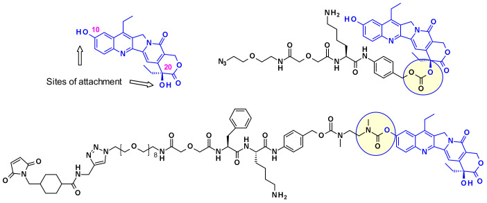 Figure 24