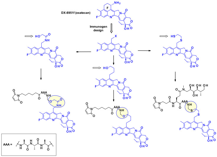 Figure 26