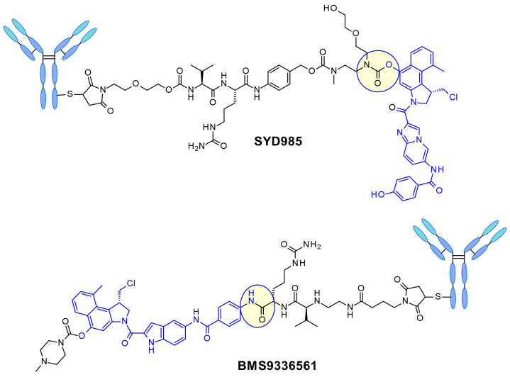 Figure 22