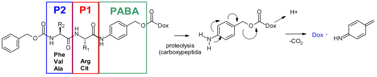 Figure 46