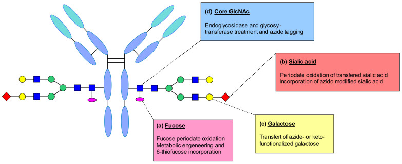 Figure 59