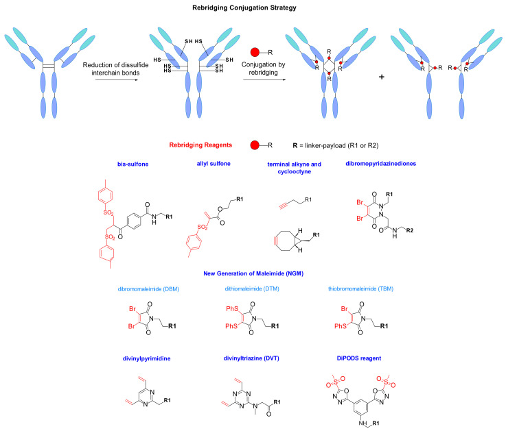 Figure 58