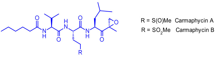 Figure 41