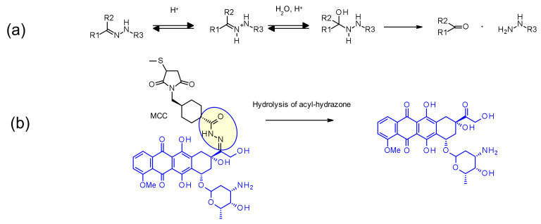 Figure 45