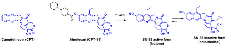 Figure 23