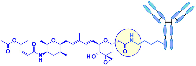 Figure 36