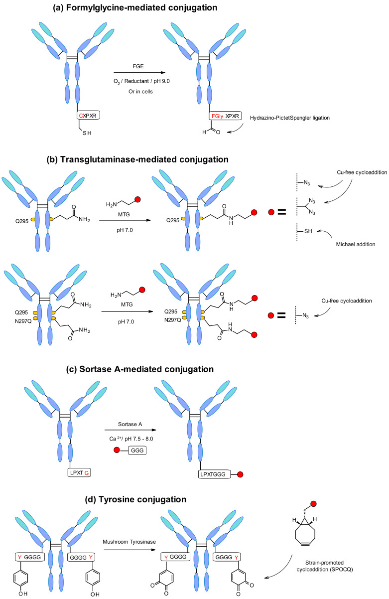 Figure 60