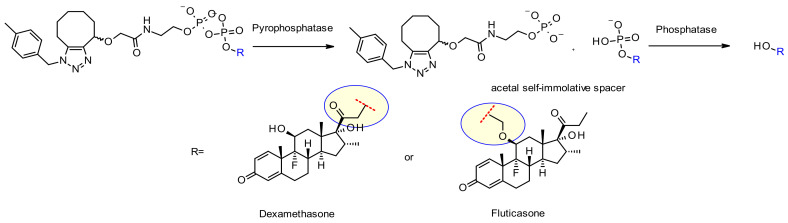 Figure 50