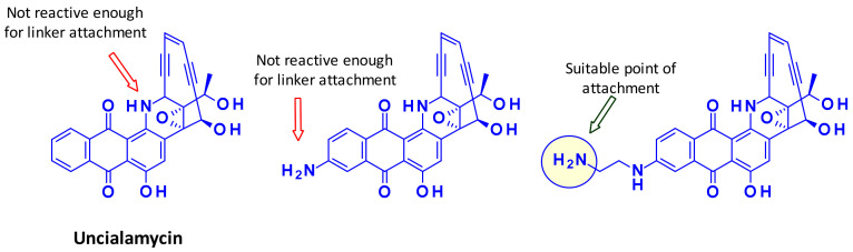 Figure 29