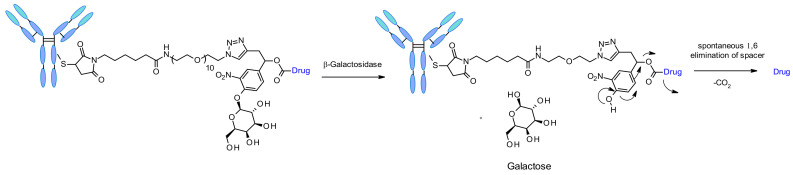 Figure 52