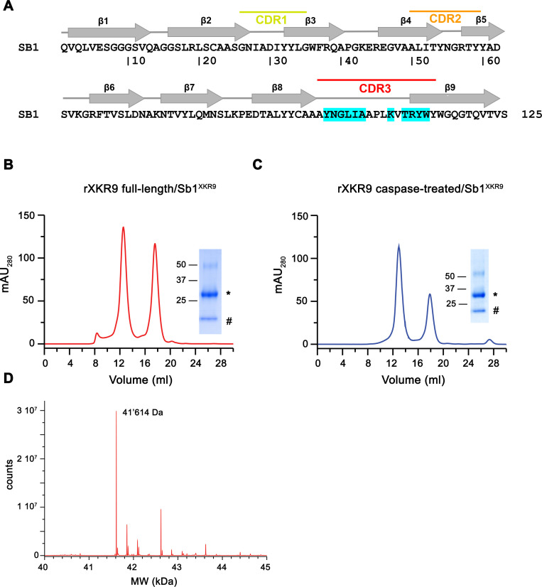 Figure 1—figure supplement 2.