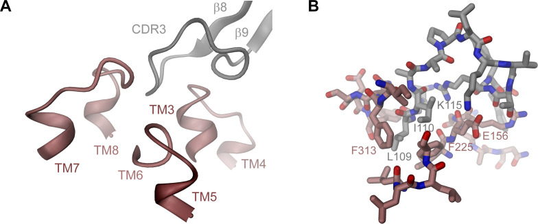 Figure 3—figure supplement 1.