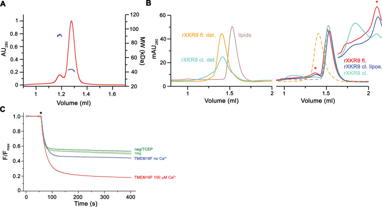 Figure 1—figure supplement 1.