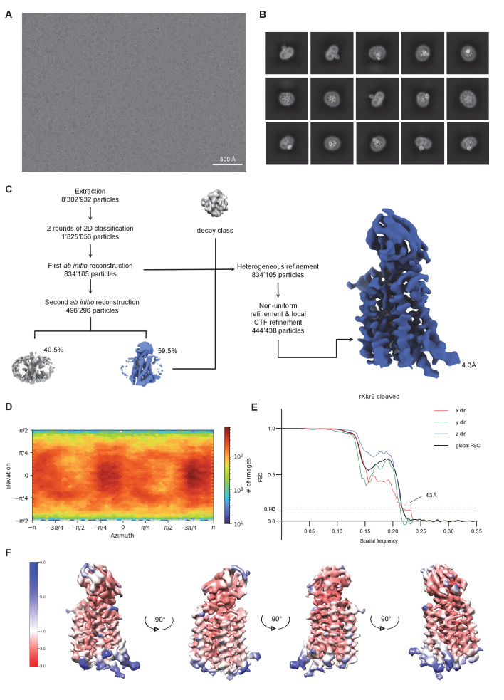 Figure 2—figure supplement 2.