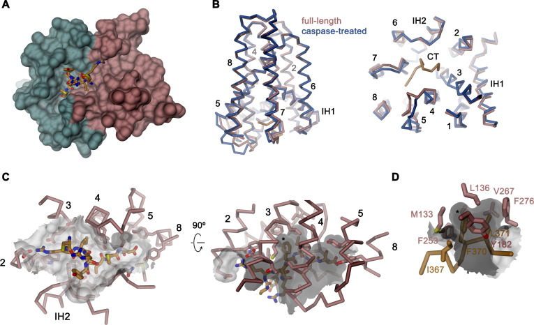 Figure 6.