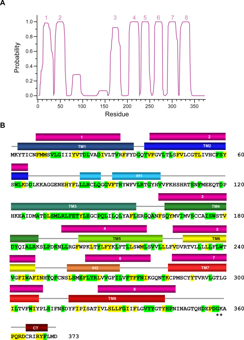 Figure 4—figure supplement 1.