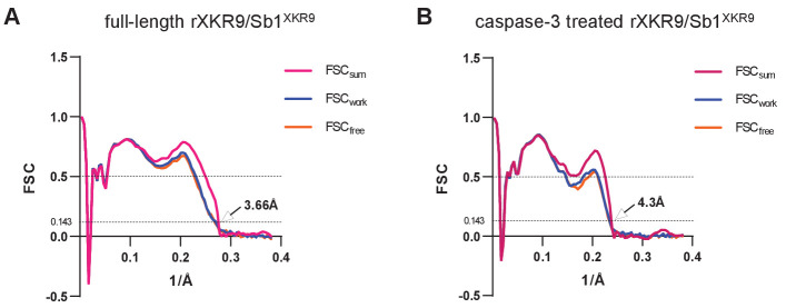 Figure 2—figure supplement 3.