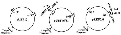 FIG. 6